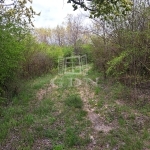Balatonkenese Telek