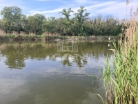 Taksony Családi ház