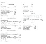 Vácszentlászló Családi ház