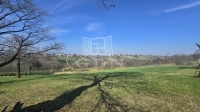 Zalaegerszeg Telek