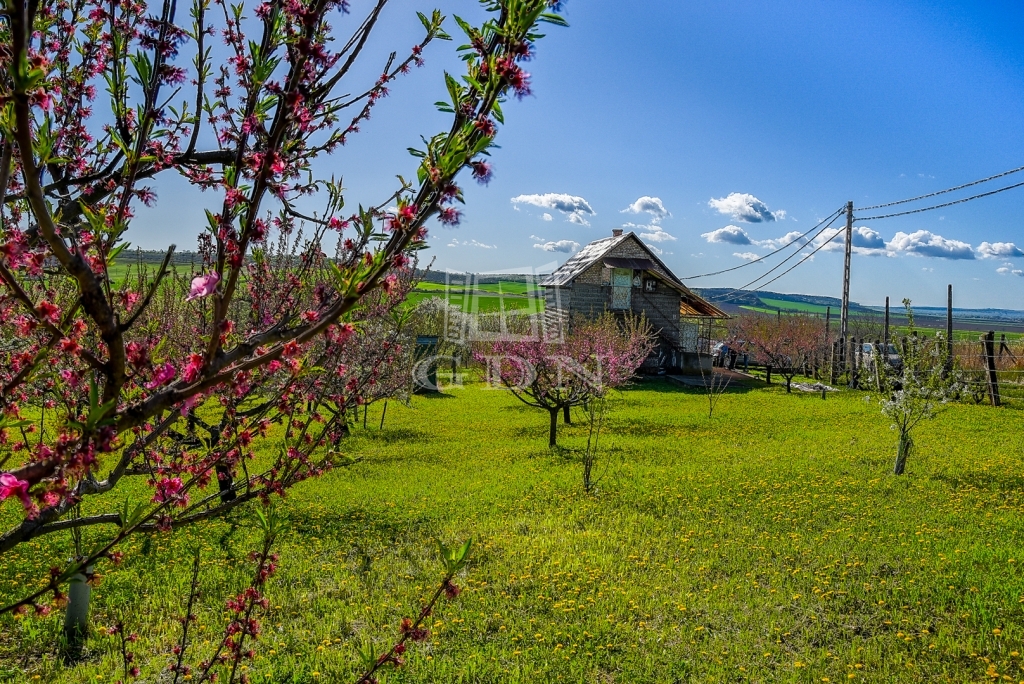 For sale Edelény Agricultural area